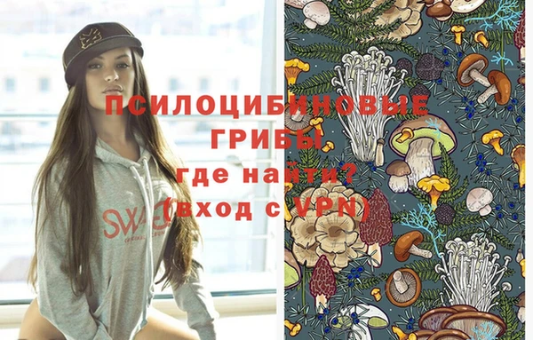 PSILOCYBIN Волоколамск